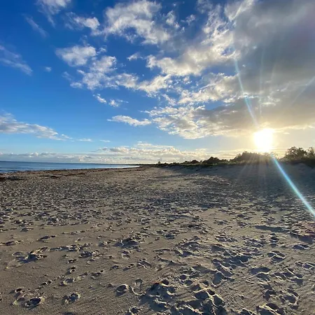 Njut Av Atmosfären I Ett Mysigt Sommarhus